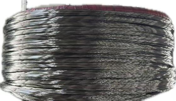 0.2mm 316 Bright Surface Stainless Steel Spring Wire