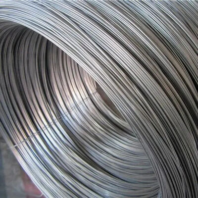20 Gauge stainless steel wire